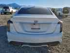 2024 CADILLAC CT5