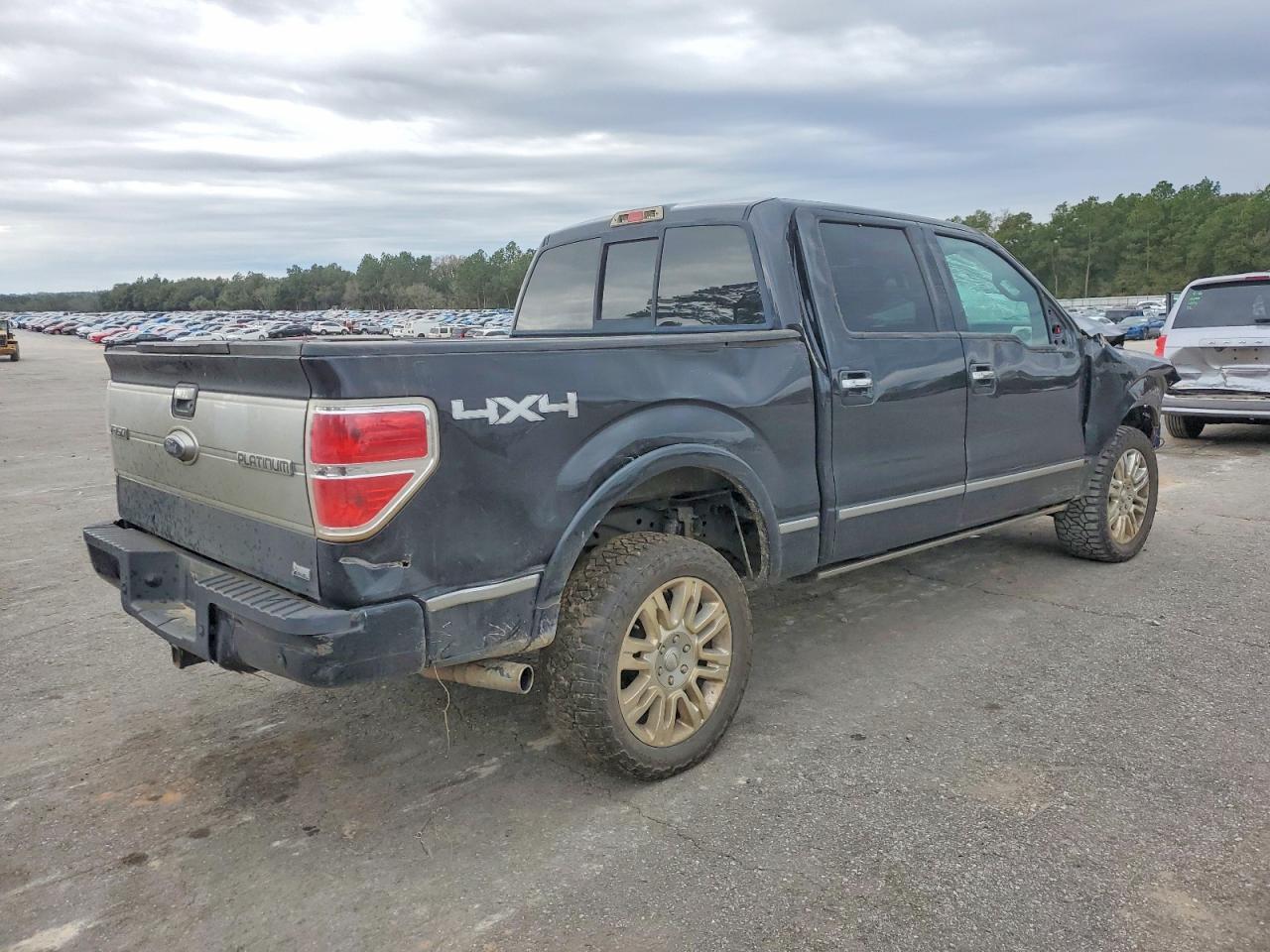 2010 FORD F-150