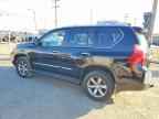 2013 LEXUS GX 460