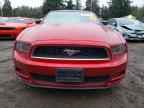 2013 FORD MUSTANG