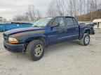 2002 DODGE Dakota