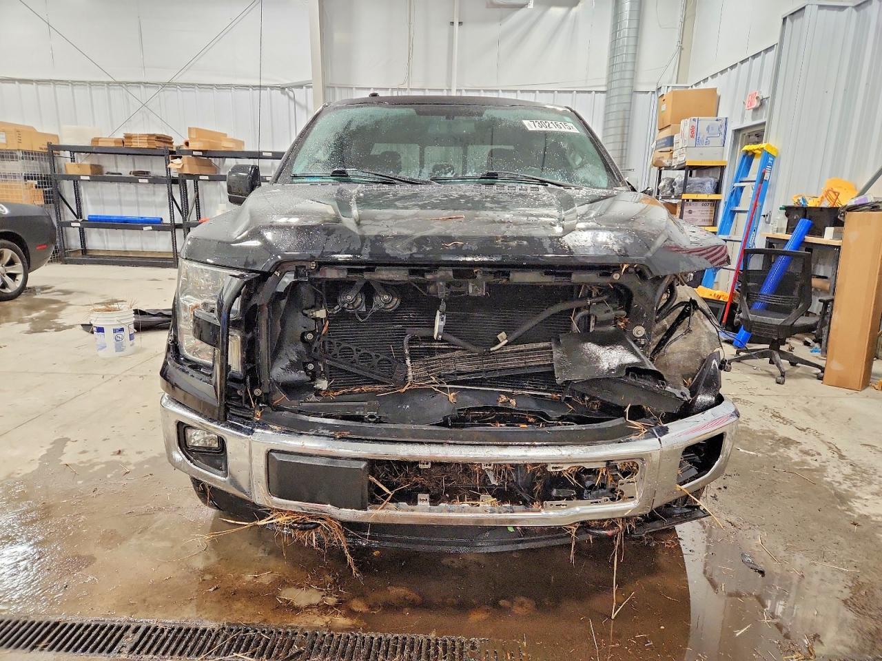 2016 FORD F-150 Lightning