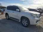 2010 LEXUS GX 460
