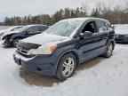 2010 HONDA CR-V
