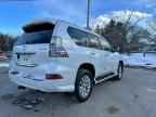 2017 LEXUS GX 460