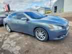 2009 NISSAN Maxima
