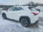 2021 LEXUS UX 250H