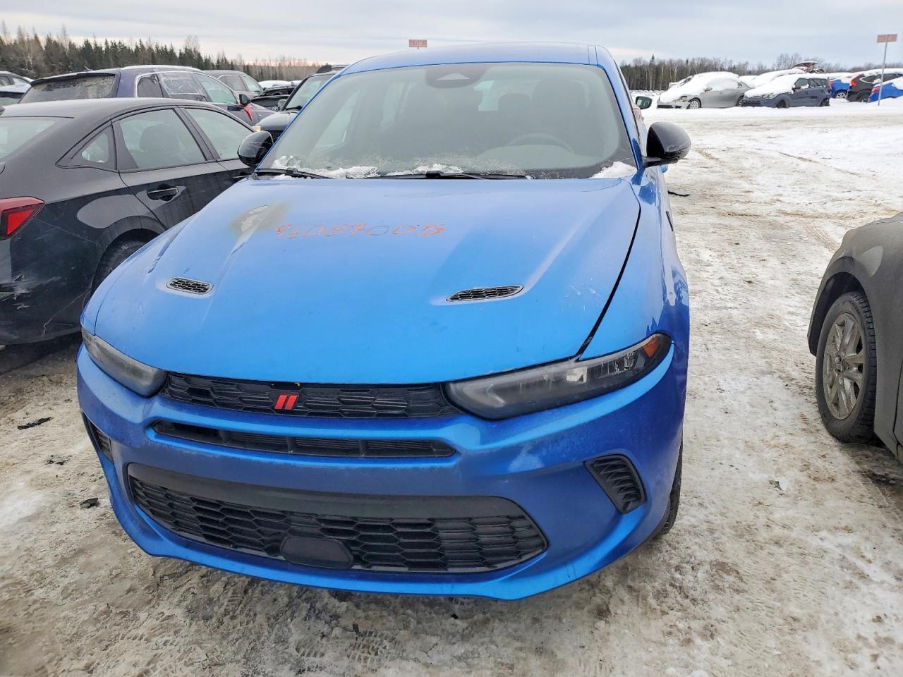 2024 DODGE Hornet