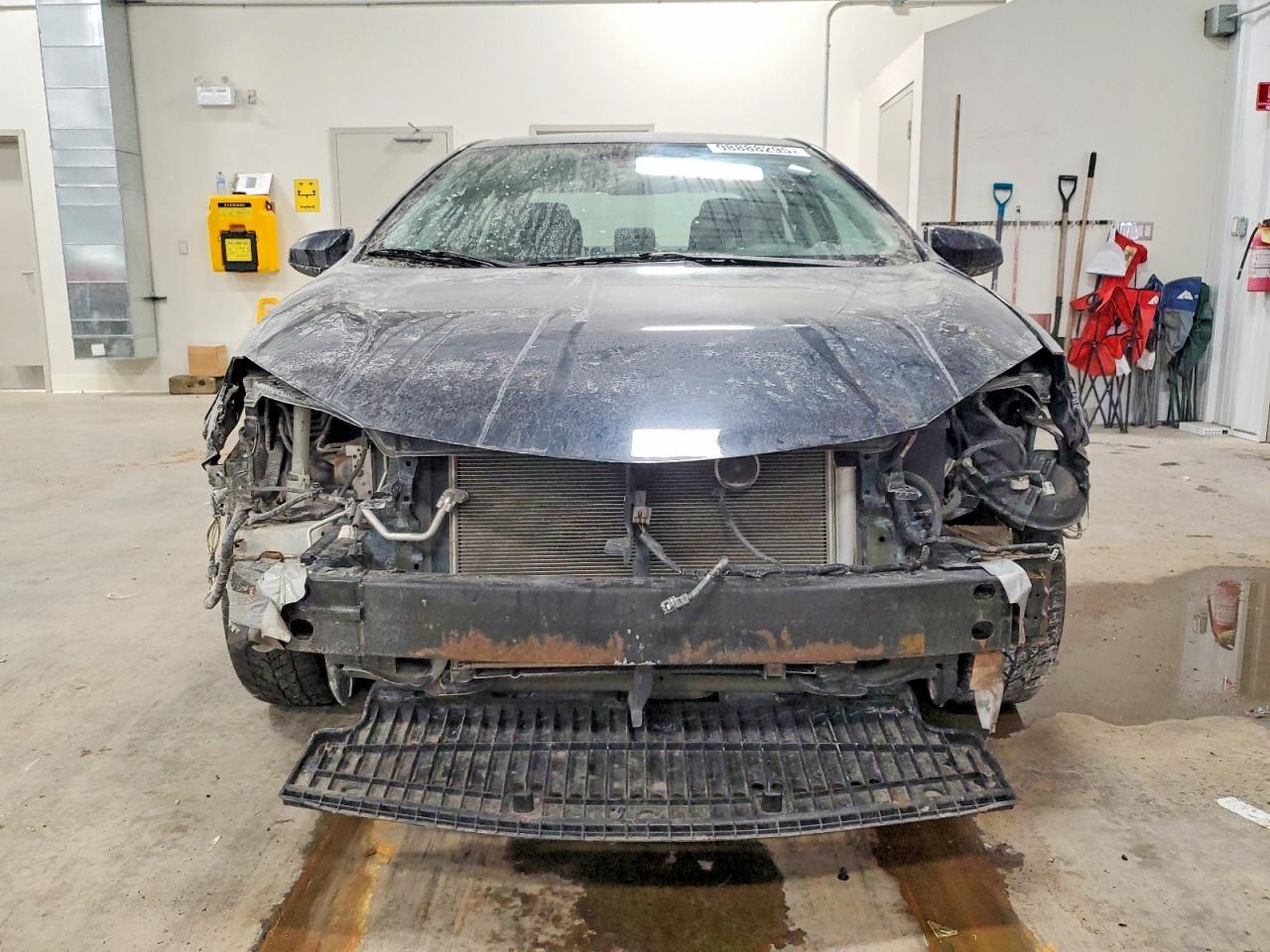 2019 TOYOTA COROLLA