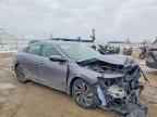 2022 HONDA Insight