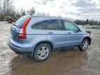 2010 HONDA CR-V