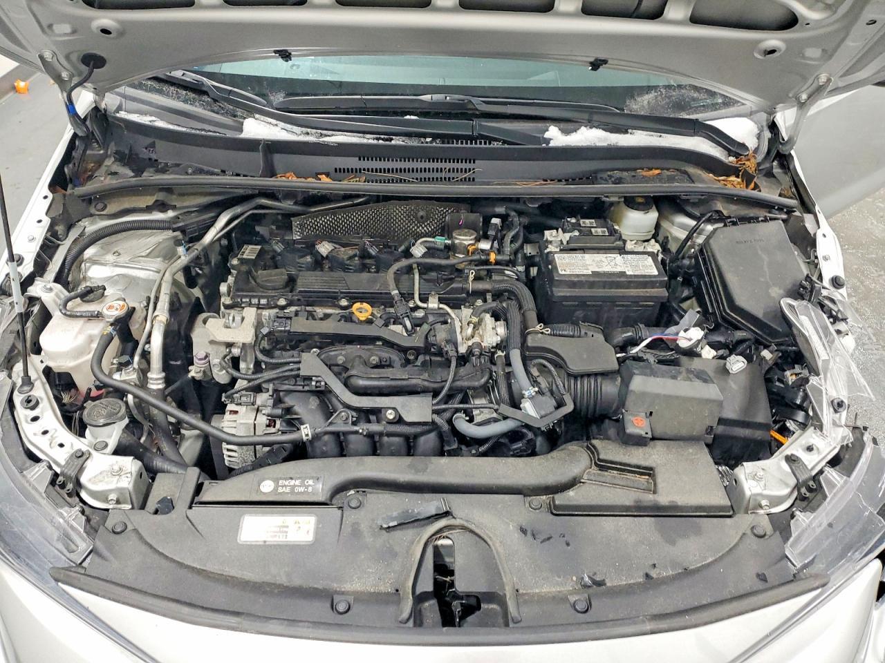 2024 TOYOTA COROLLA