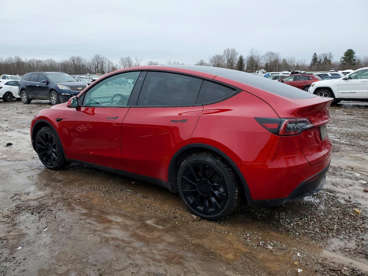 2021 TESLA MODEL Y