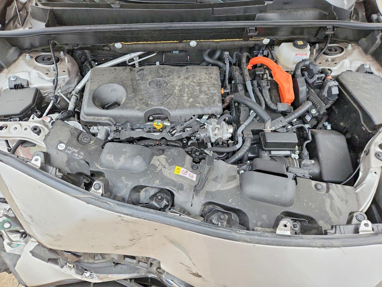 2024 TOYOTA VENZA