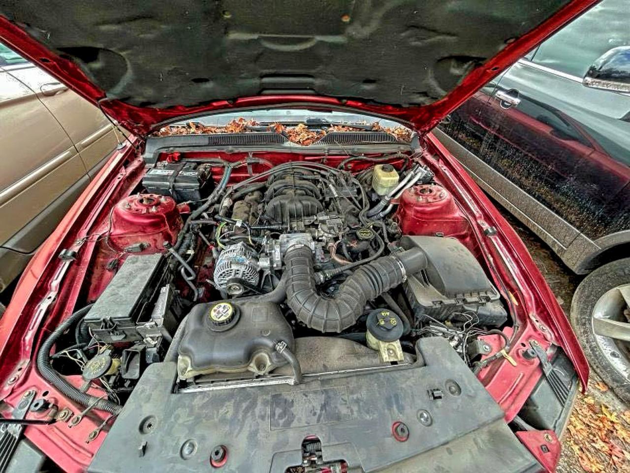 2007 FORD MUSTANG