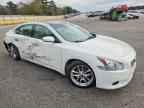 2010 NISSAN Maxima