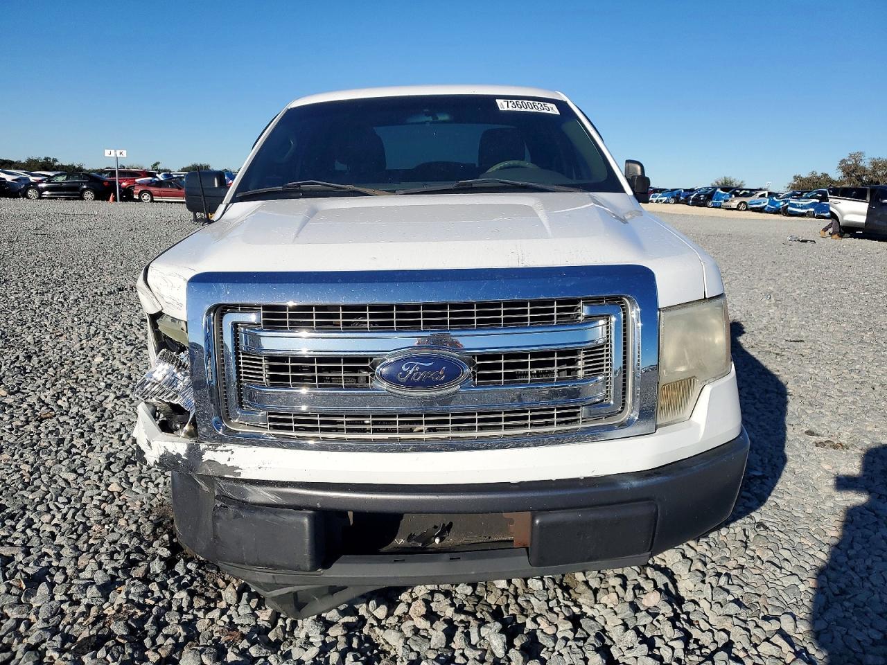 2010 FORD F-150