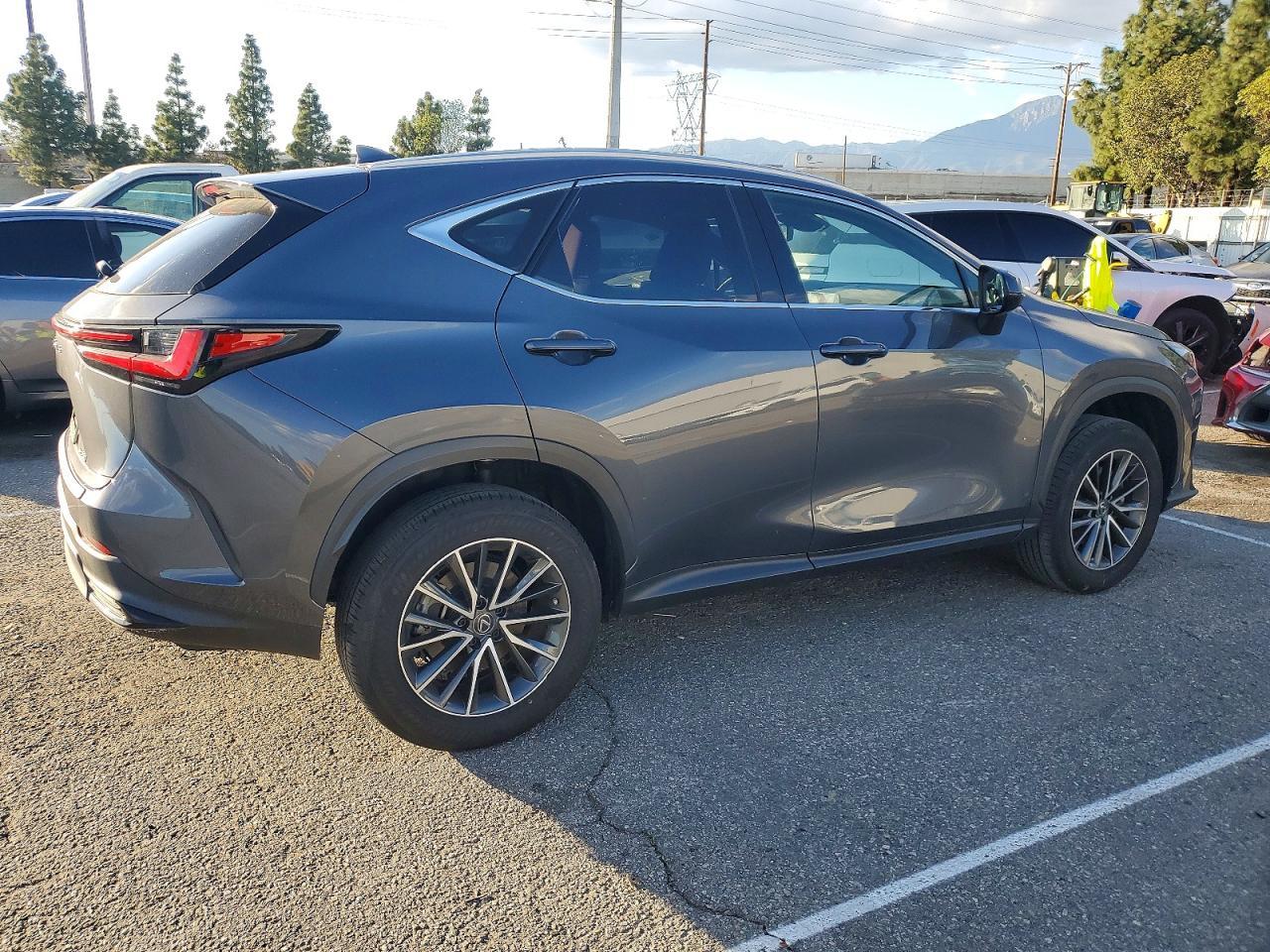 2023 LEXUS NX 250