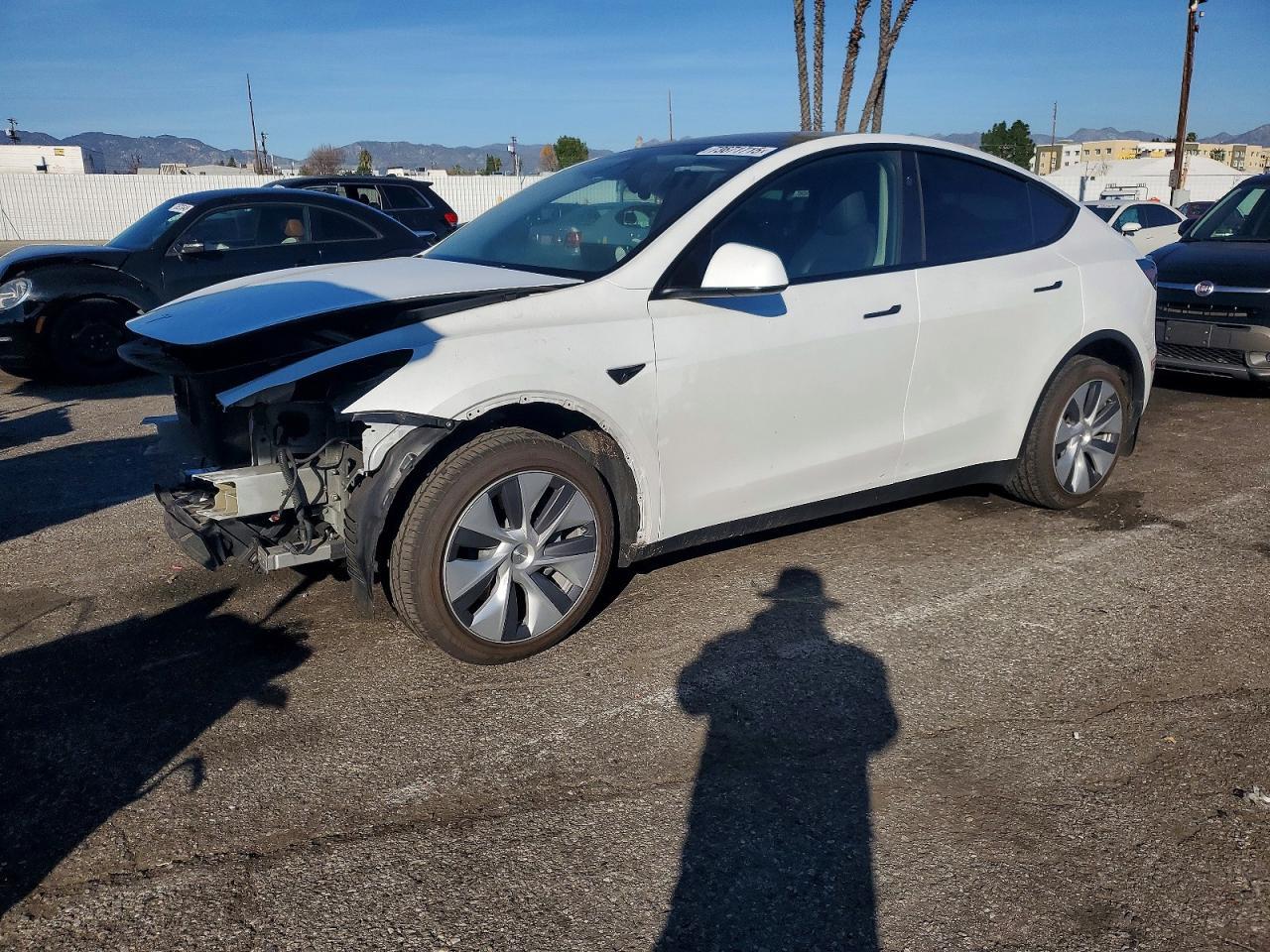 2024 TESLA MODEL Y