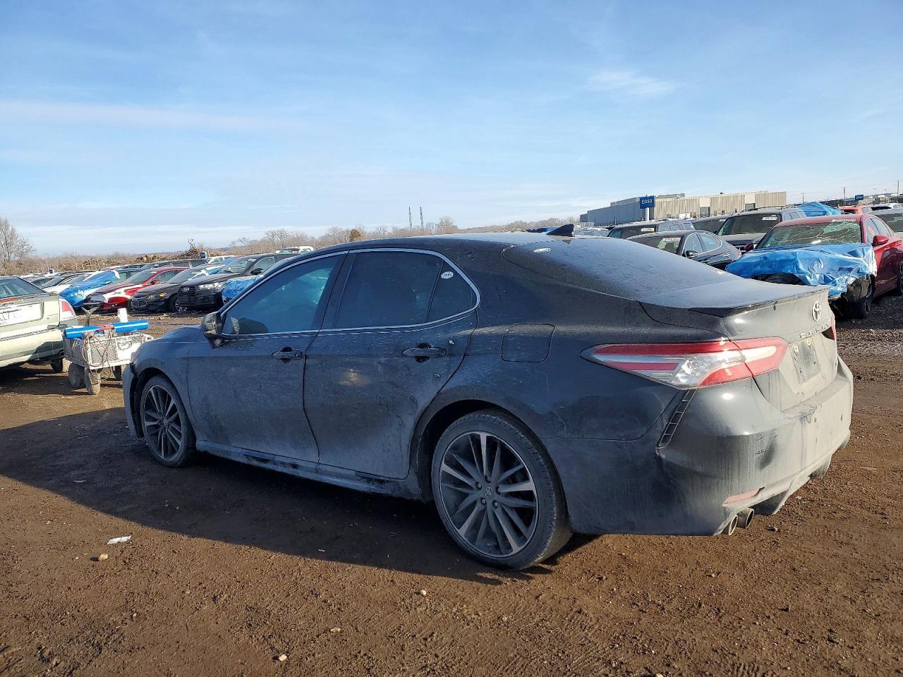 2019 TOYOTA CAMRY