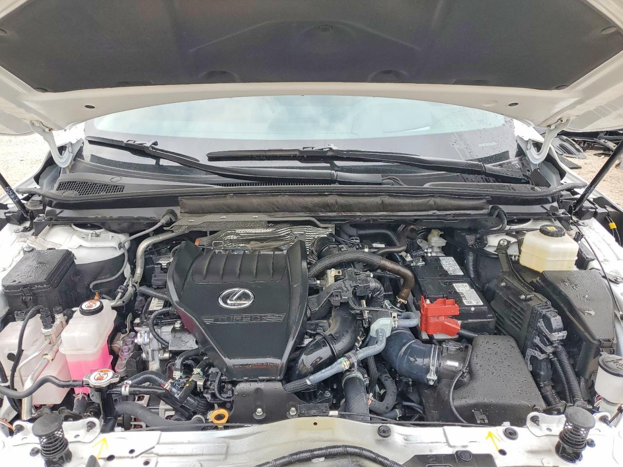 2024 LEXUS RX 350