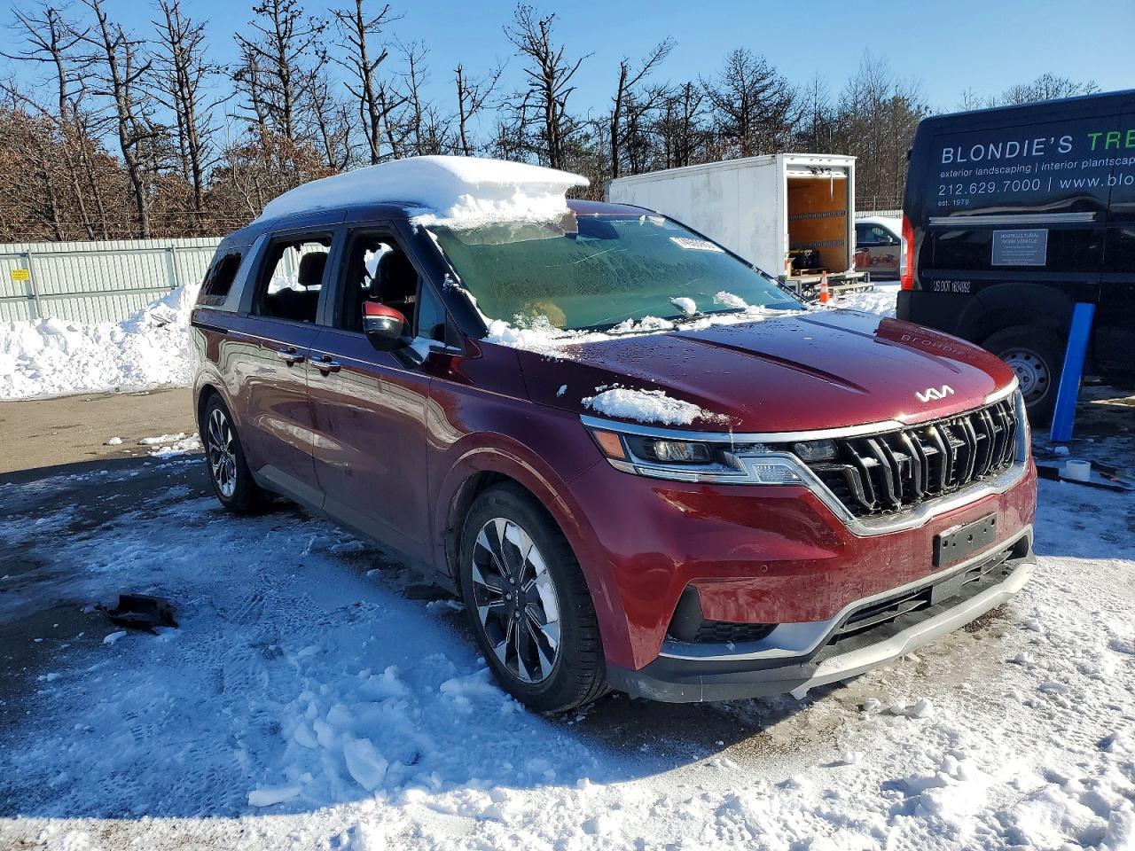 2024 KIA Carnival