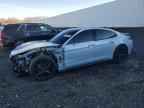 2025 PORSCHE Panamera