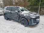 2024 CADILLAC XT6