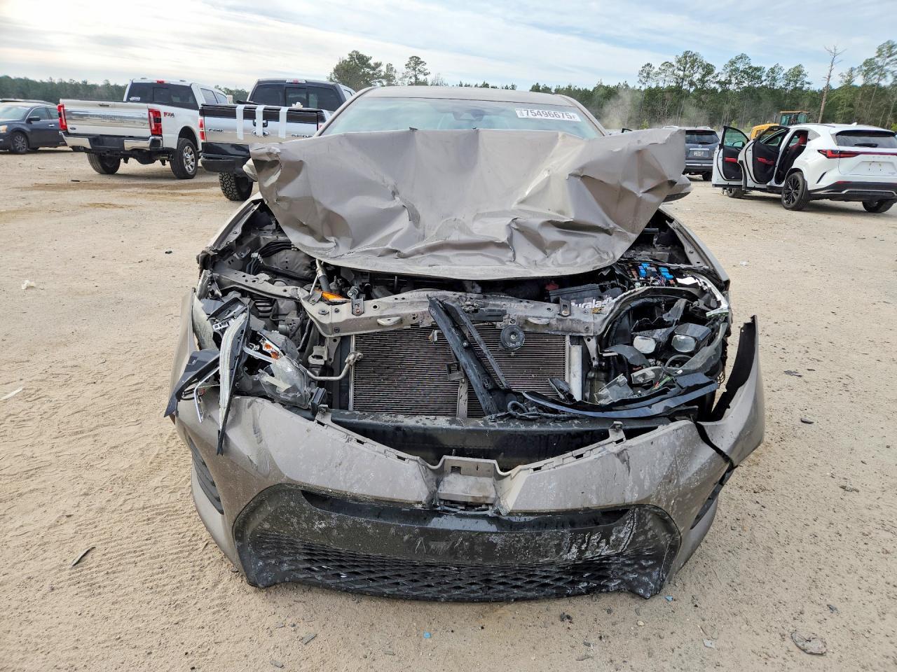 2019 TOYOTA COROLLA