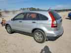 2010 HONDA CR-V
