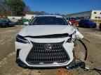 2025 LEXUS NX 350