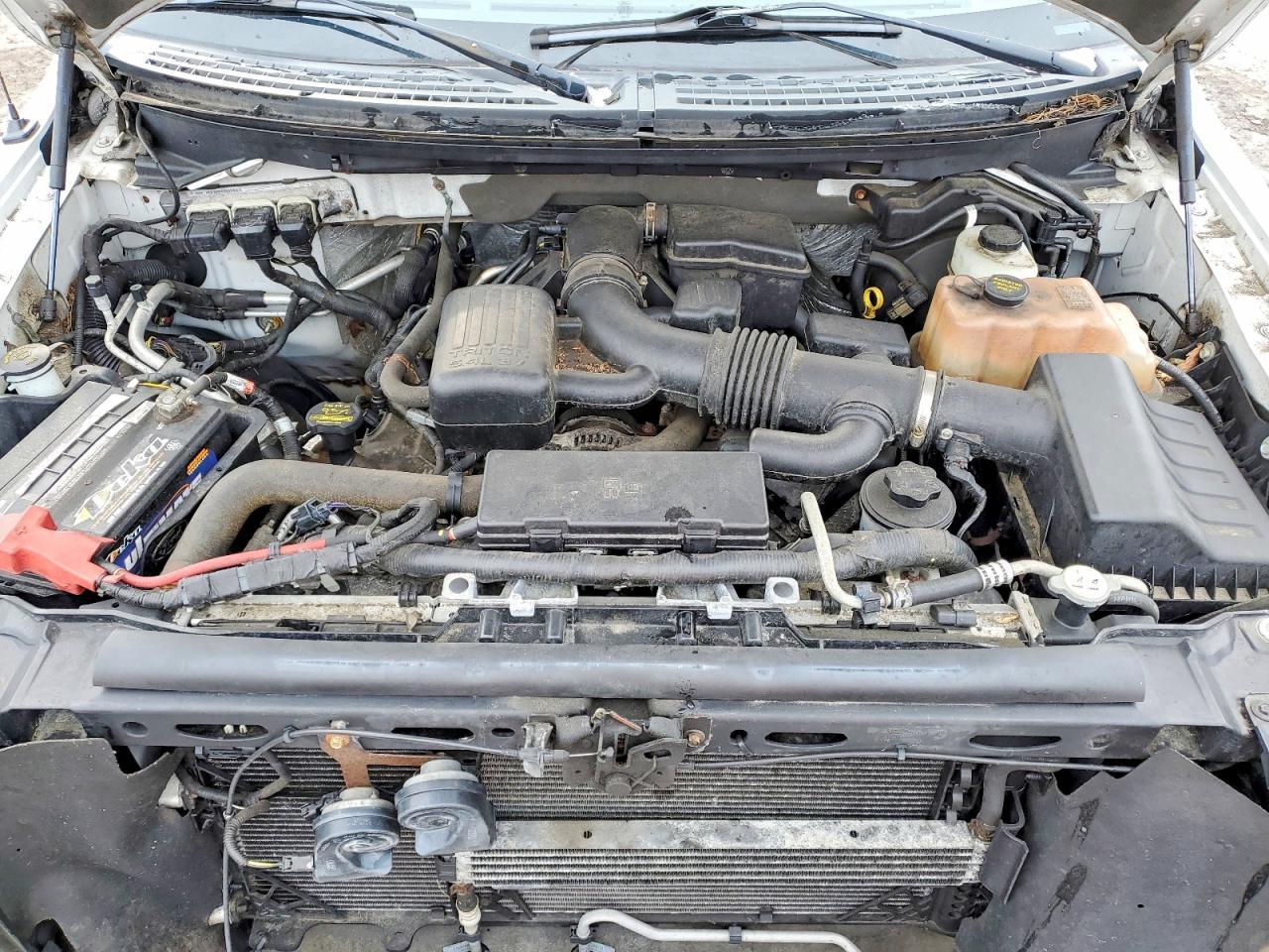 2010 FORD F-150