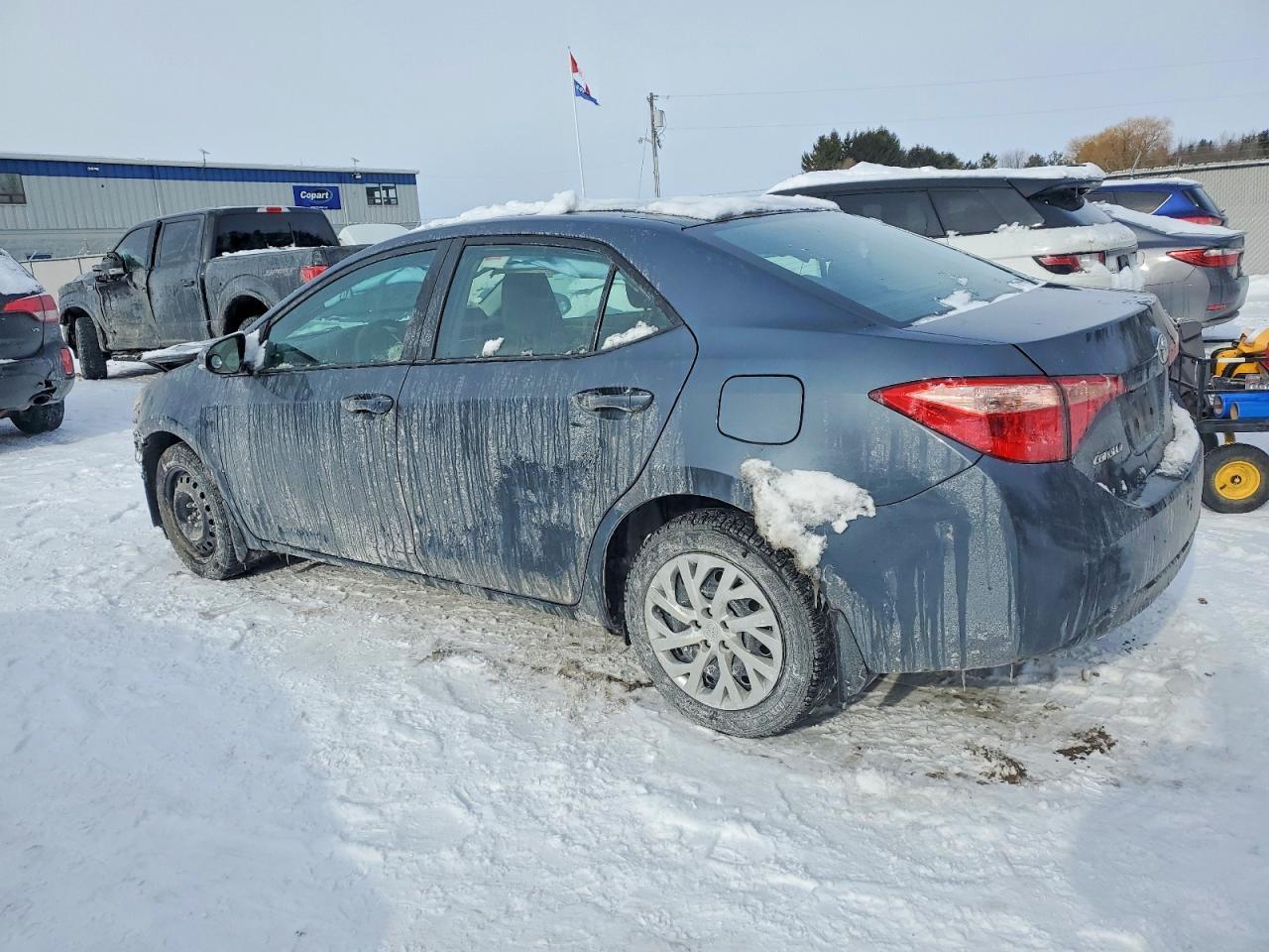 2019 TOYOTA COROLLA