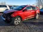 2022 KIA Niro