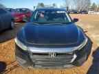2019 HONDA Insight