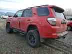2023 TOYOTA 4Runner