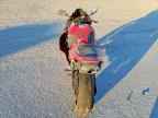 2022 HONDA Cbr600