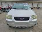 2006 FORD ESCAPE