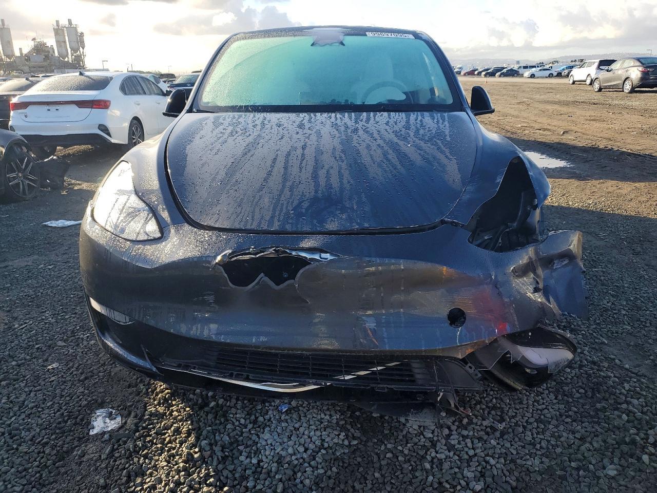 2025 TESLA MODEL Y