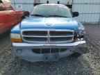 1999 DODGE Dakota