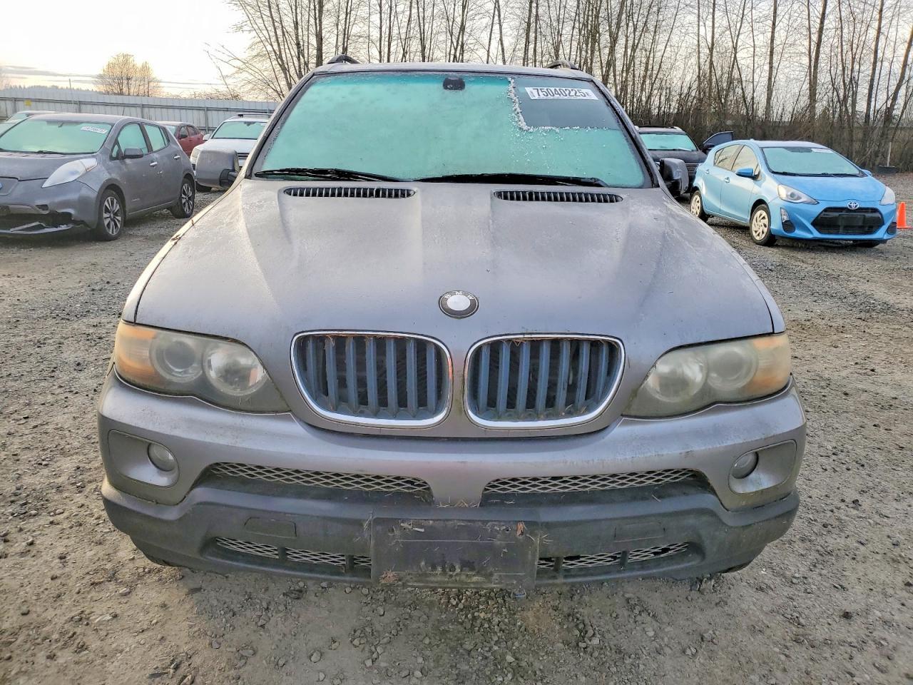 2005 BMW X5
