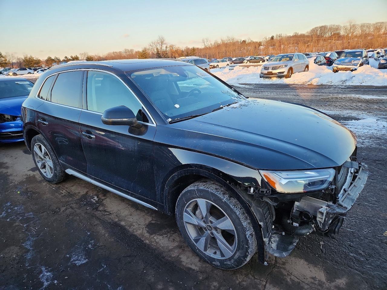 2023 AUDI Q5