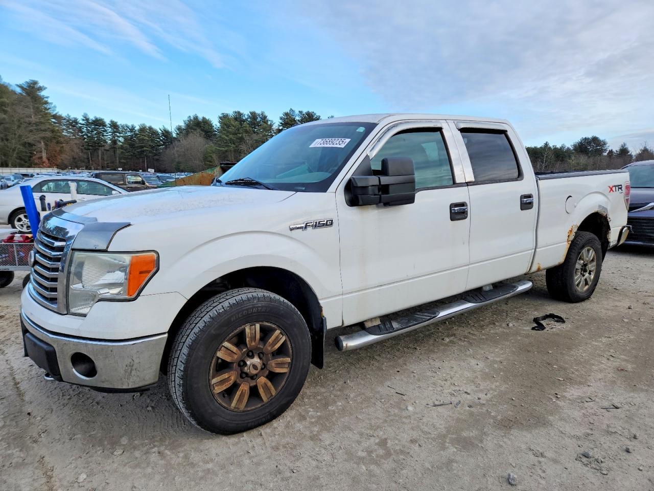 2010 FORD F-150