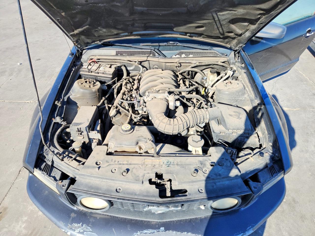 2009 FORD MUSTANG