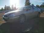 2004 HONDA ACCORD