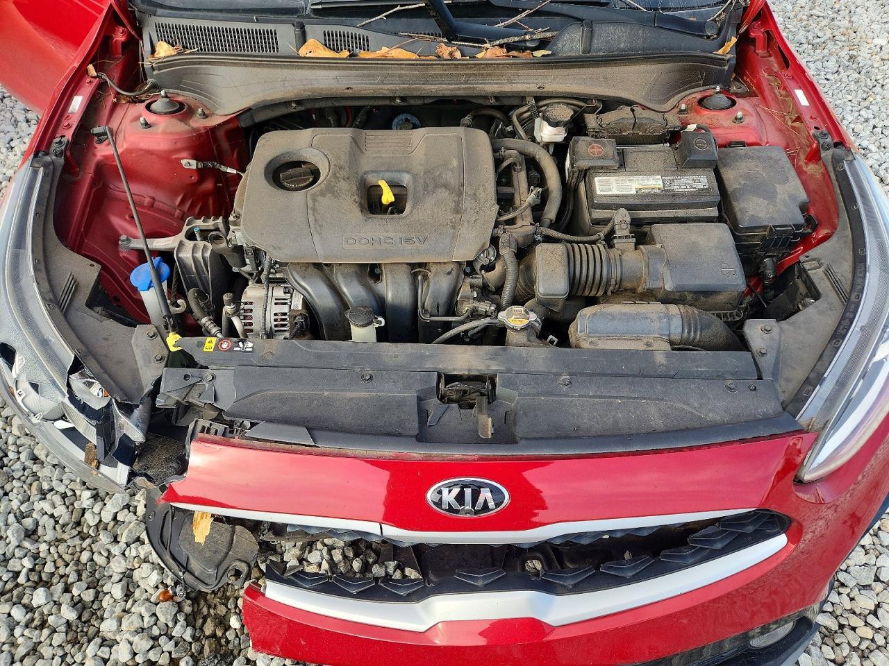 2019 KIA FORTE