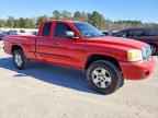 2005 DODGE Dakota