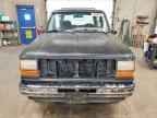 1989 FORD Bronco