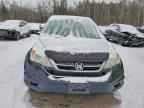 2010 HONDA CR-V