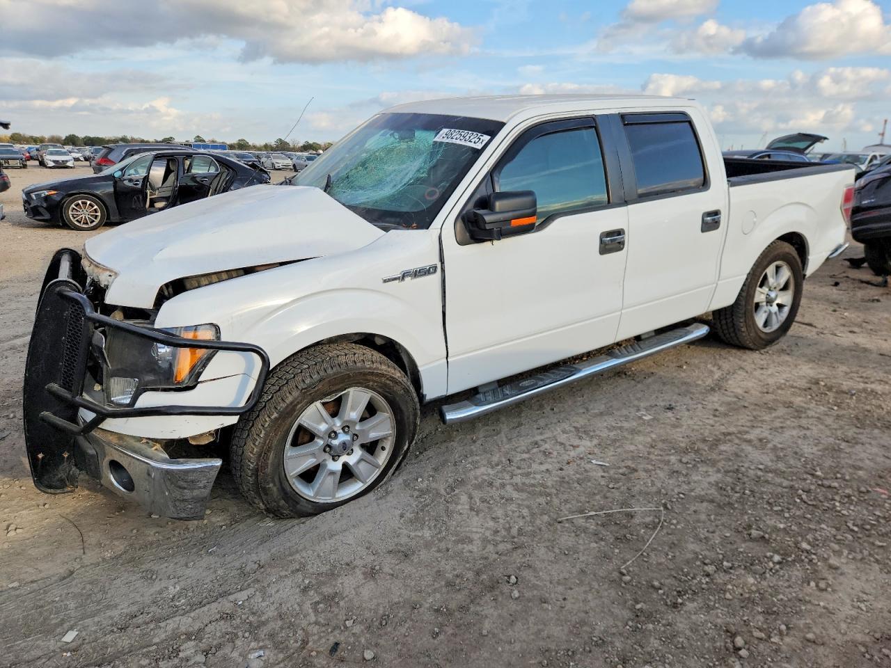 2010 FORD F-150